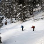 Ski de fond au Québec
