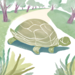 Le pas de tortue OU cheminer un pas à la fois