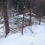 Le Québec en hiver - Le voyage intuition